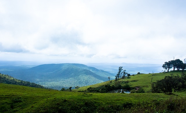 过的重要一 过的重要一