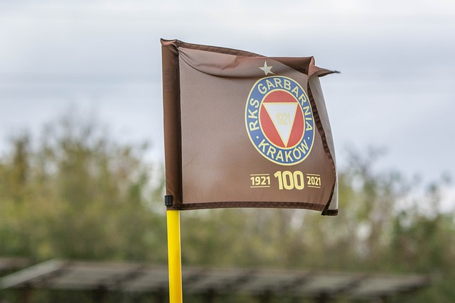 讓意大利的 讓意大利的