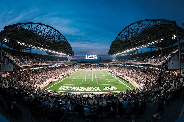 书中的武器 书中的武器