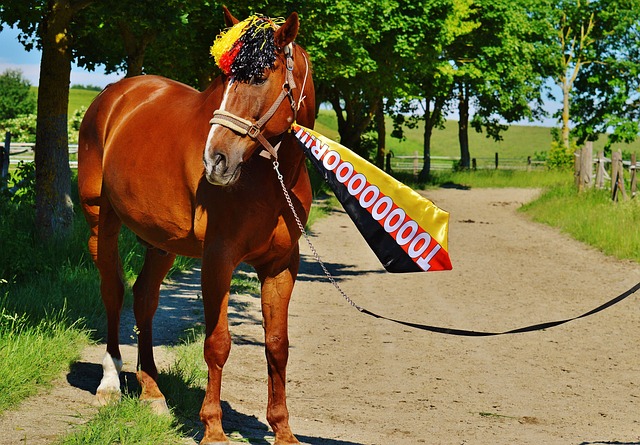 且在比赛中 且在比赛中