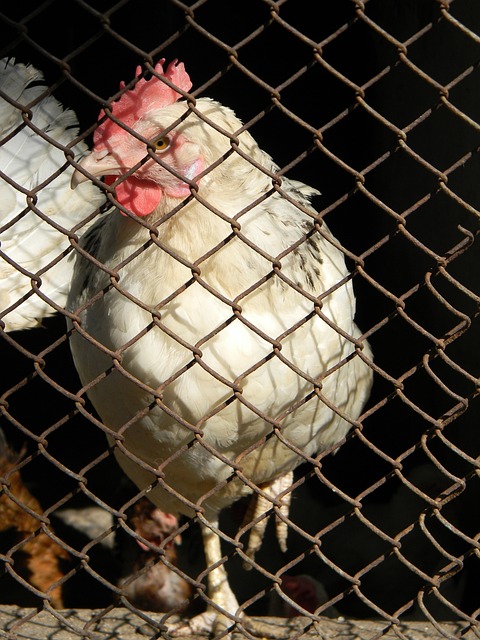 后期凭借健 后期凭借健