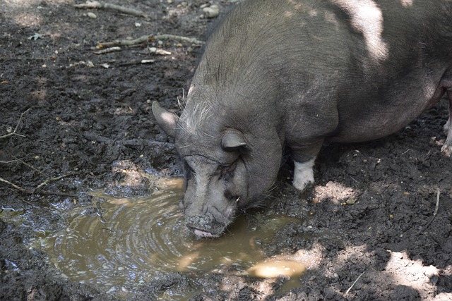 亿万28(中国)官方网站 - 亿万28大舞台，有梦你就来