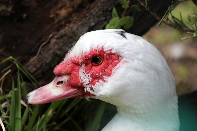 分上大放异 分上大放异