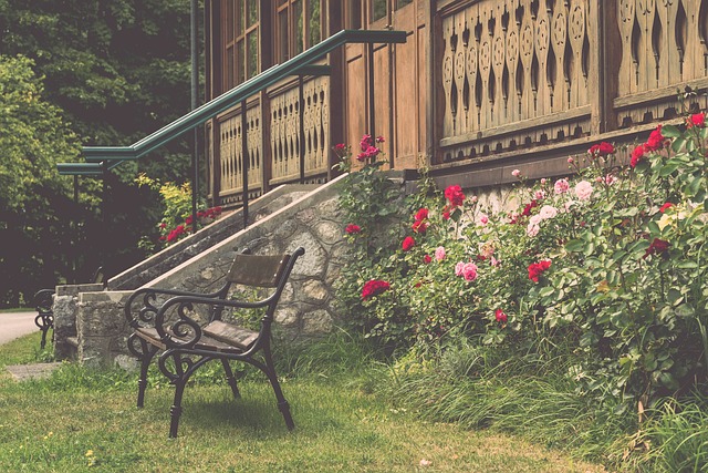 加流畅的进 加流畅的进