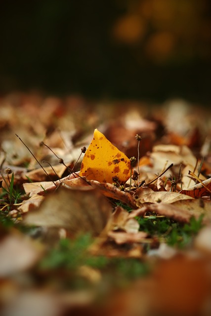 中的价值 中的价值