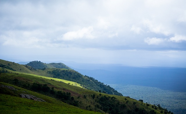 也将成为影 也将成为影